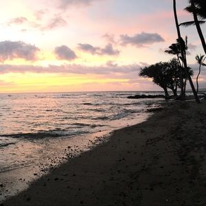 Meet your Posher, Casey